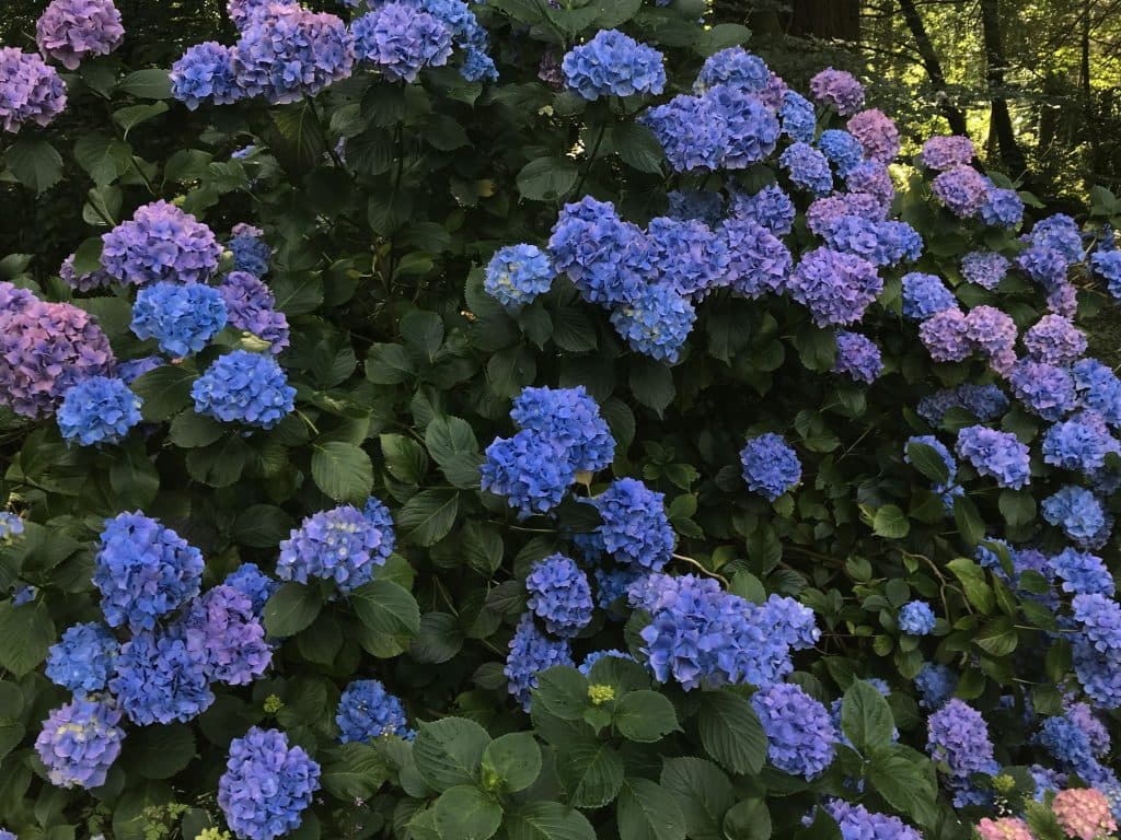 https://gurteen.cms.matthiasepheser.at/wp-content/uploads/sites/4/2022/08/IMG_5322-1024x768.jpg